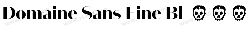 Domaine Sans Fine Bl字体转换